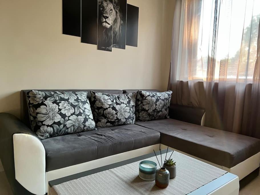 Sof Apartment'S Sofia Extérieur photo